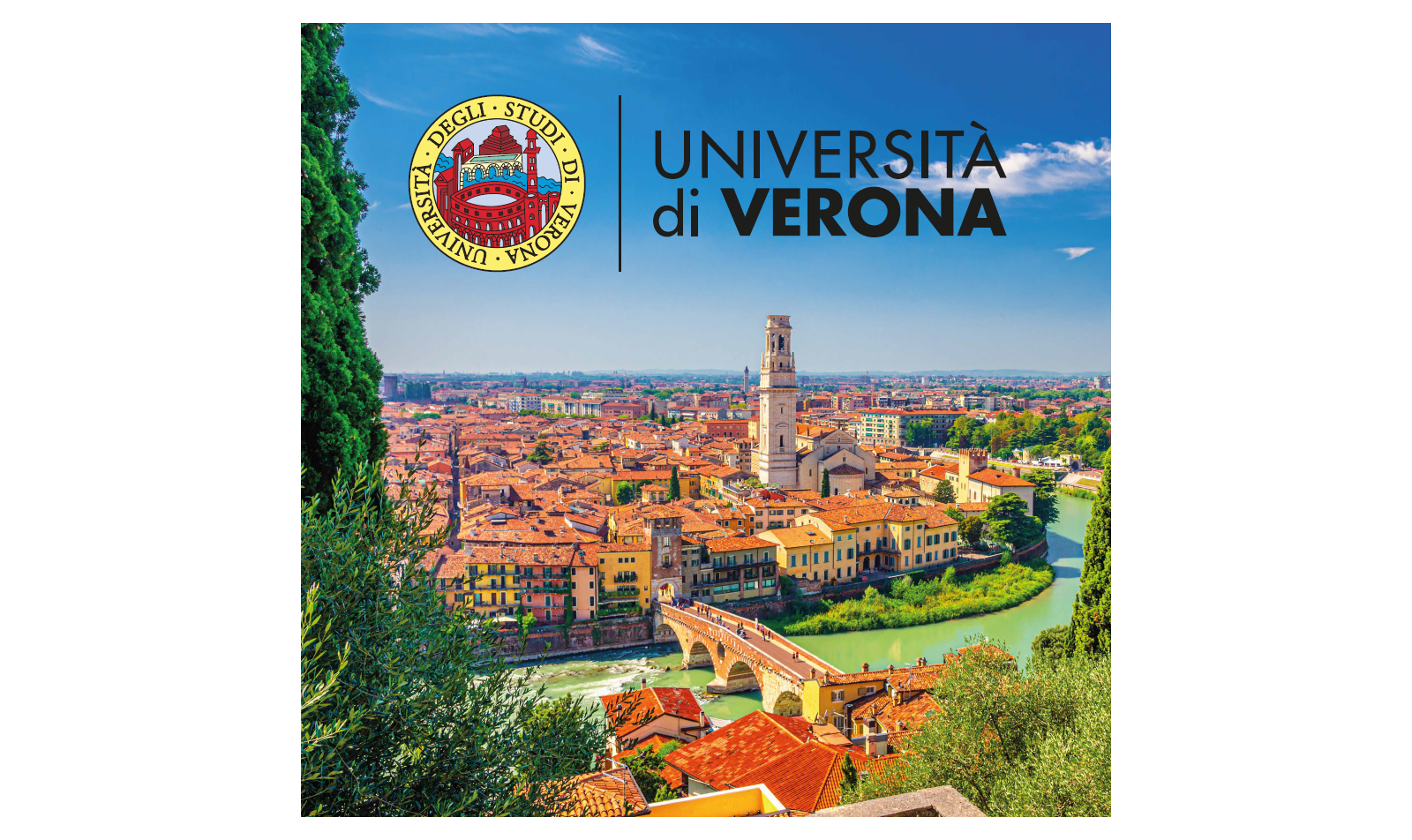 verona universita